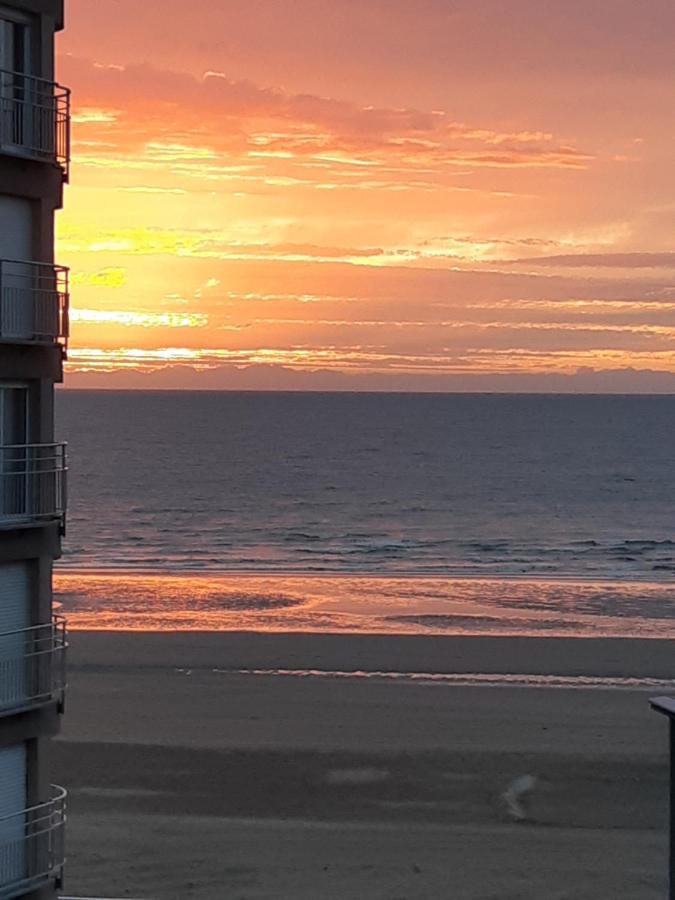 Zonnig En Gezellig Appartement Met Zijdelings Zeezicht En Zwembad In Koksijde Ngoại thất bức ảnh